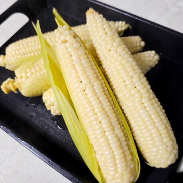 통골농원,(8월5일부터 발송)  인제 통골농원  미백 찰옥수수 무료배송
