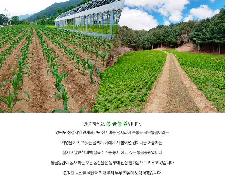 통골농원